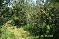 100_2475 (Copier)